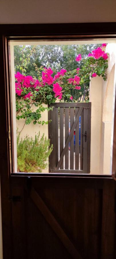 Casa Con Piscina En San Jose Sotillo エクステリア 写真