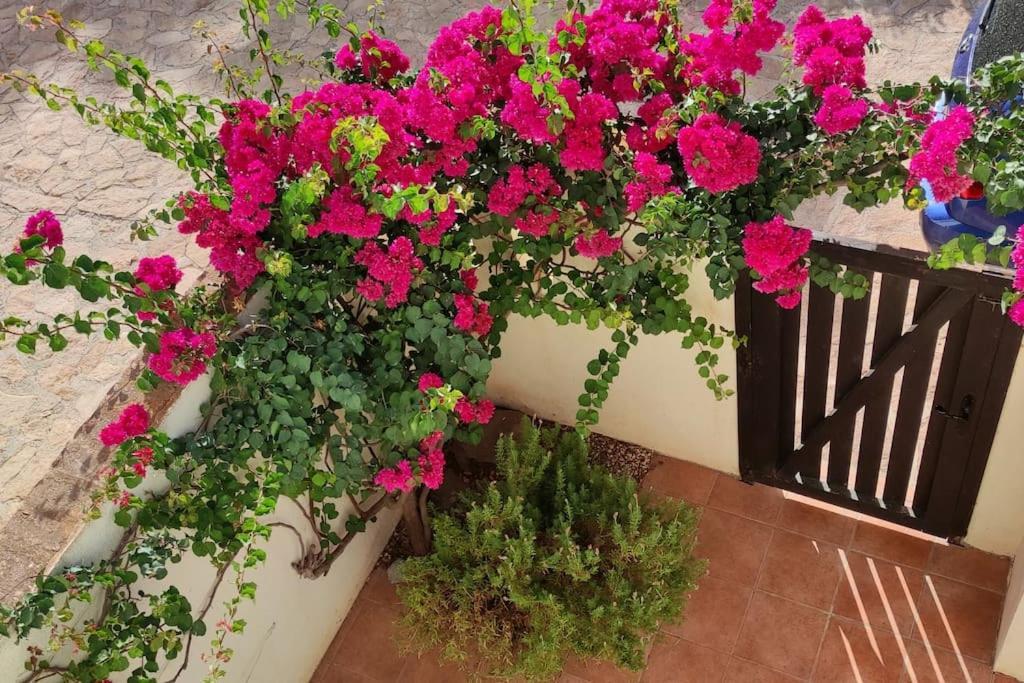 Casa Con Piscina En San Jose Sotillo エクステリア 写真