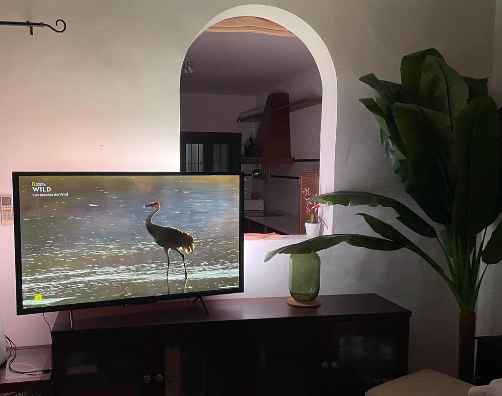 Casa Con Piscina En San Jose Sotillo エクステリア 写真